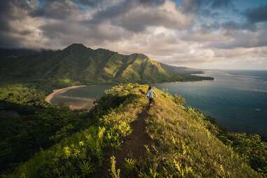 person walking away into nature