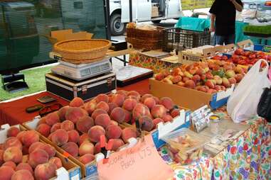 Fruit at the CFM