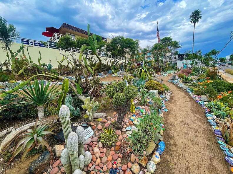 dave’s rock garden