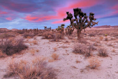 red rock canyon