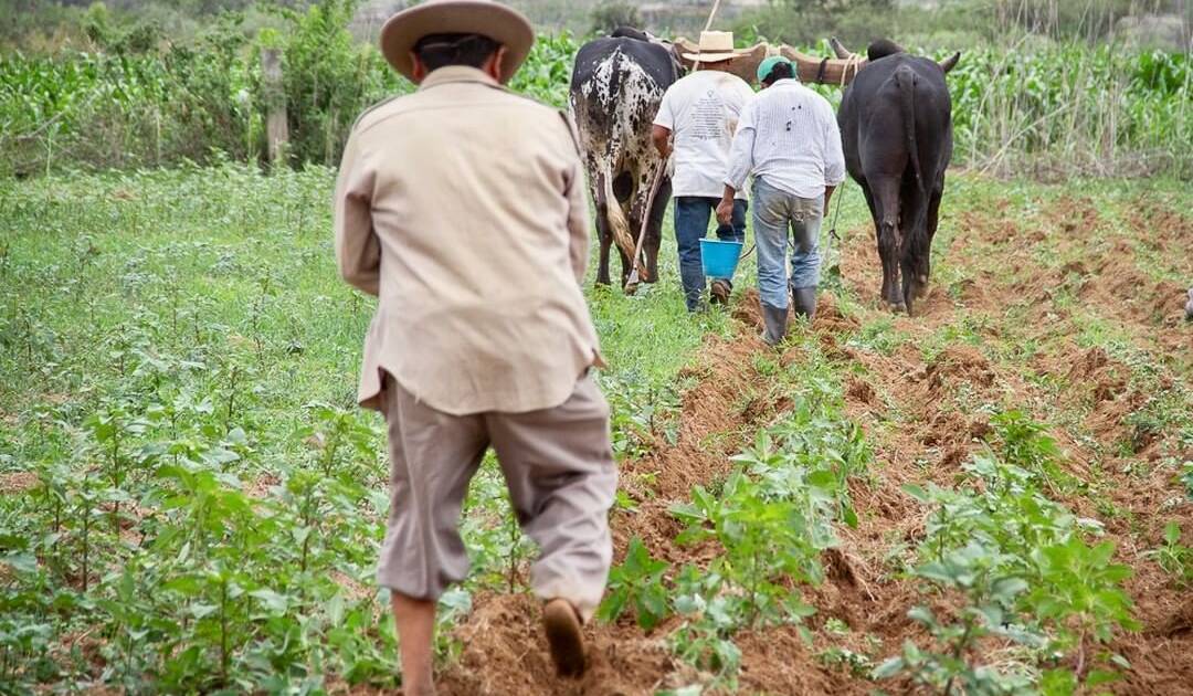 Abasolo Ancestral Corn Whisky Pays Homage to Mexico's Heritage