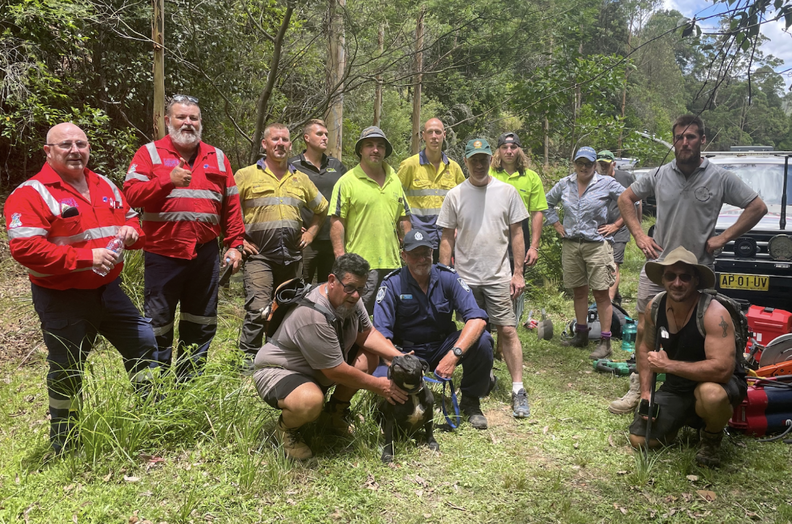 Rescuers Rush To Save Dog Trapped At The Bottom Of Narrow Crevice - The ...
