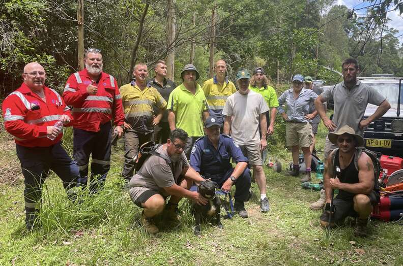 rescuers and dog 