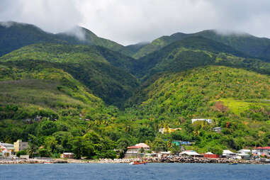 St. Kitts rainforest