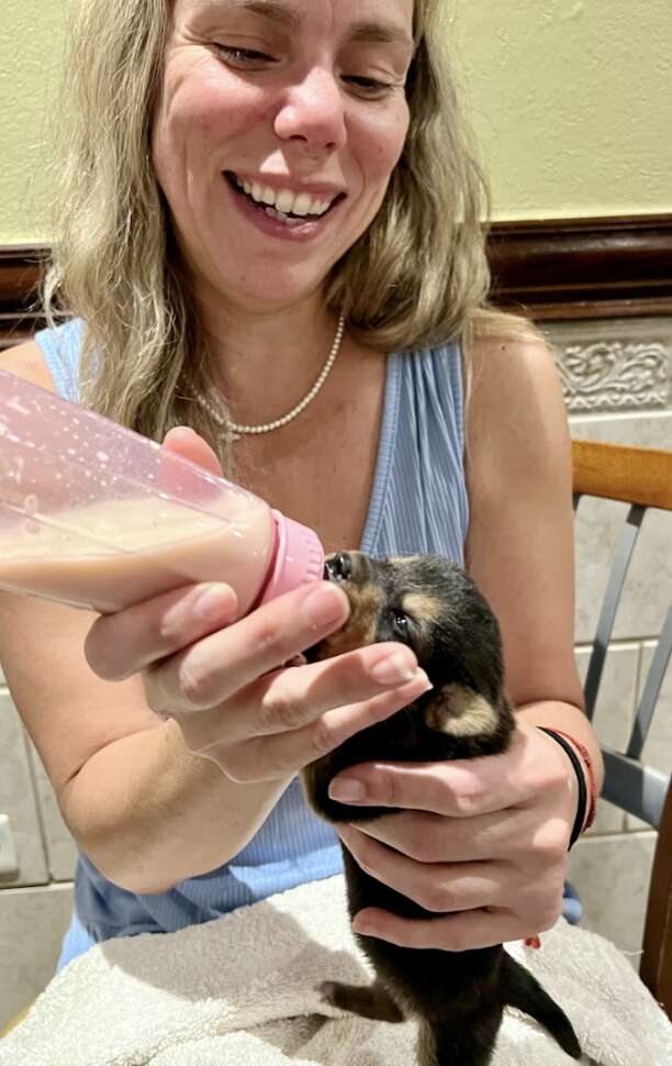 woman feeding puppy