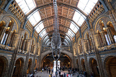 Natural History Museum, London