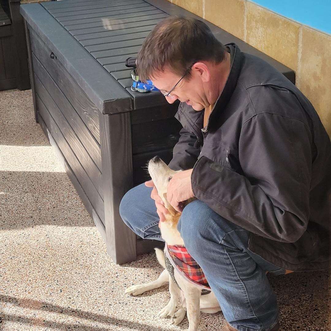 dog reunites with owner after 6 years