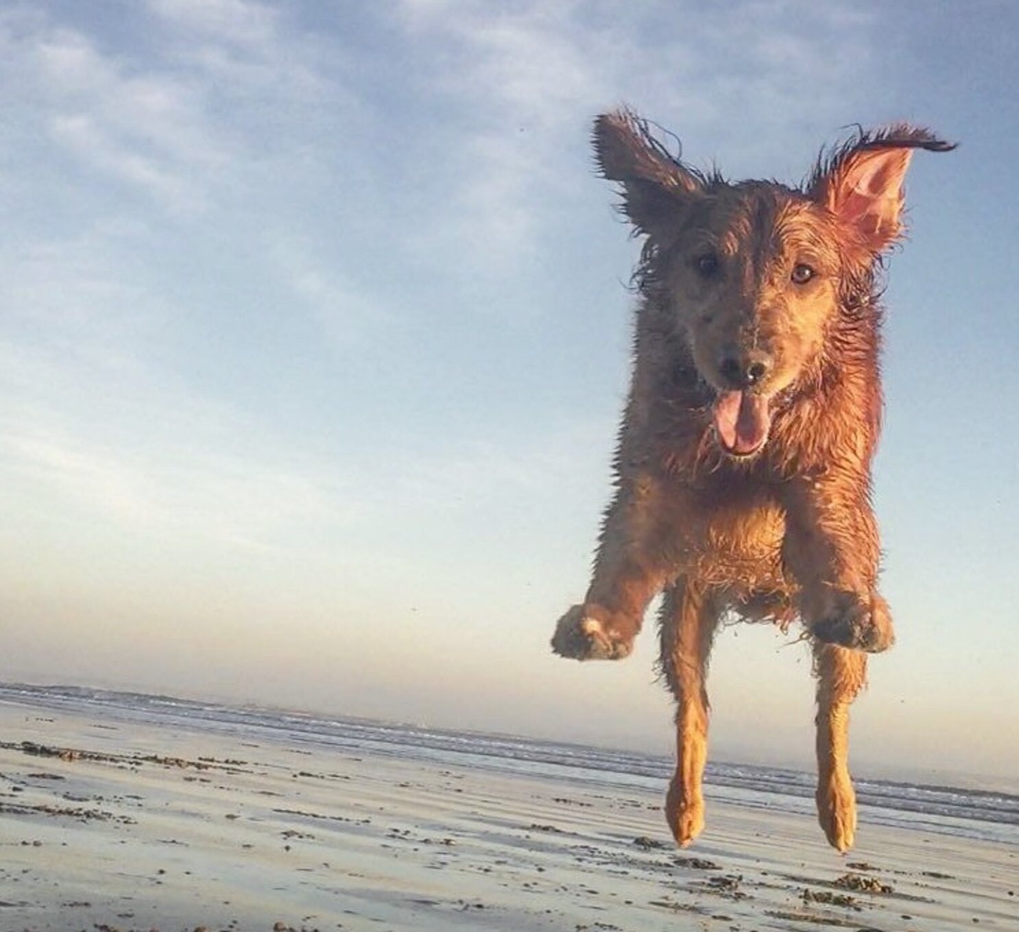 Things to Do in Coronado Island for a Weekend Getaway Without the Car