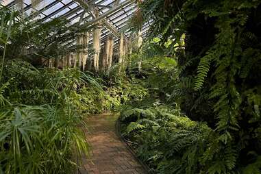 Garfield Park Conservatory