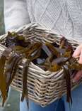 basket of seaweed