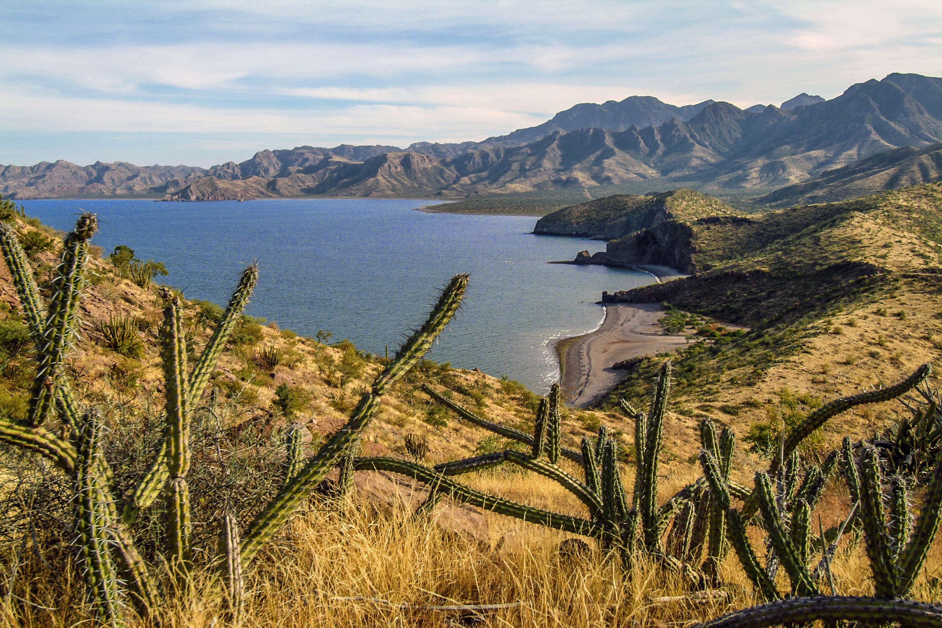 Baja California Sur, Mexico