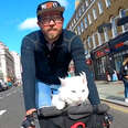 Deaf Cat Loves Riding Around London With Her Dad