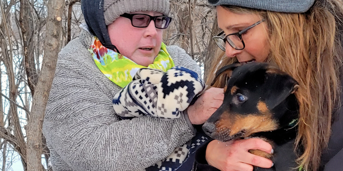 Stranger Helps Woman Find Her Lost Dog Videos The Dodo