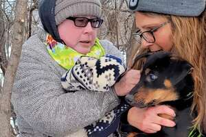 Stranger Helps Woman Find Her Lost Dog