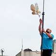 Owl Is So Grateful To Be Rescued By Kind Man