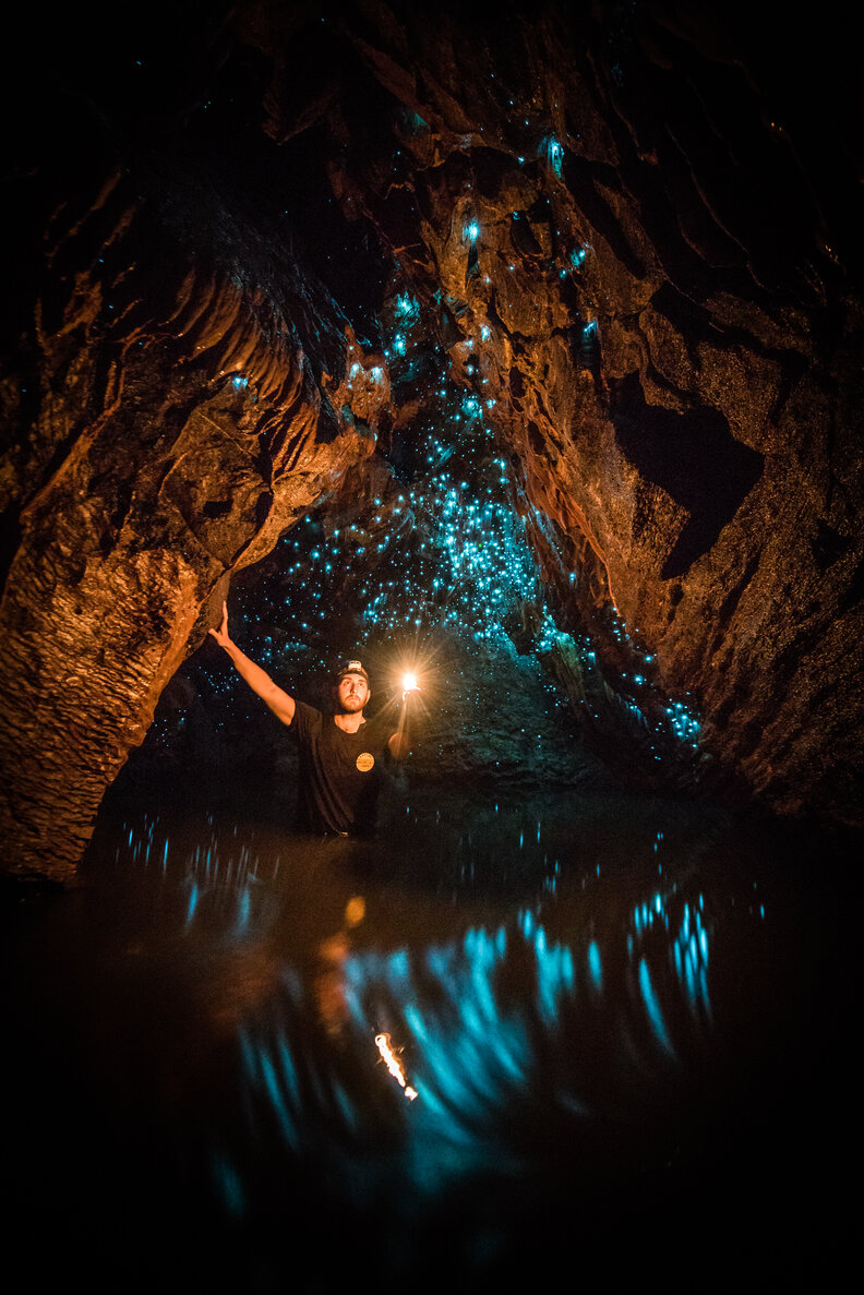 Waitomo Glowworm Caves
