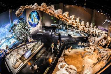 Inside Perot Museum