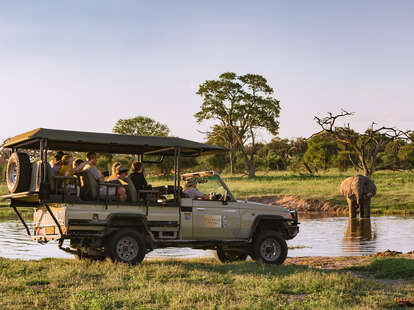 kalahari safari tour chobe national park