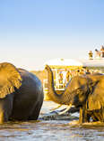 Chobe national park