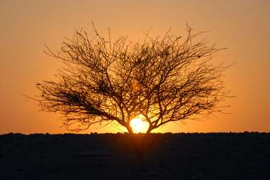 Sunset near Feynan Ecolodge