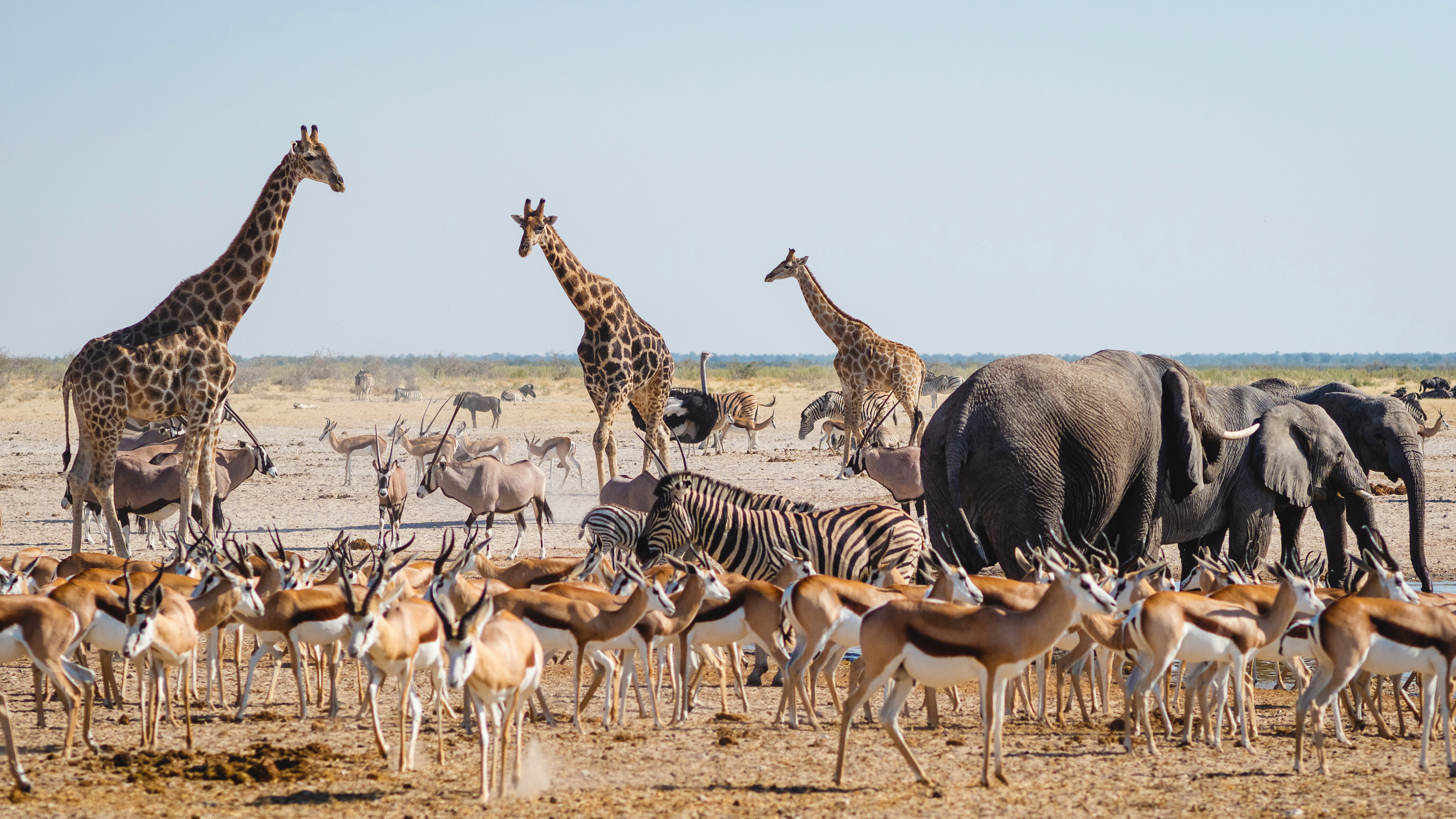 Bow Down to the Animal Kingdom in This Safari National Park