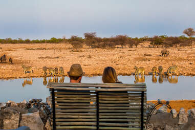 etosha safari