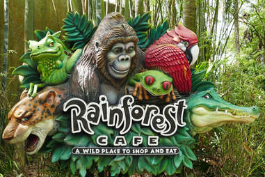 Rainforest Cafe at Disney World