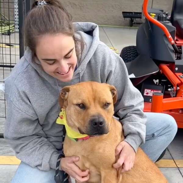 woman hugging dog