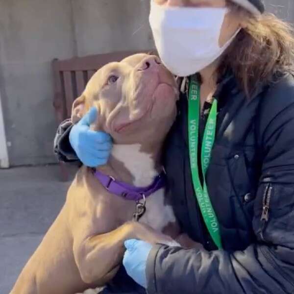 dog hugging woman