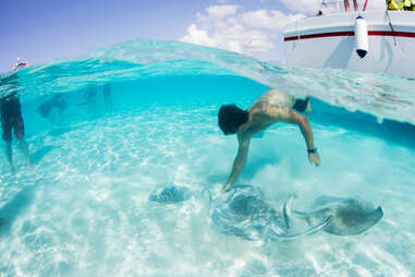 Stingray City, Grand Cayman