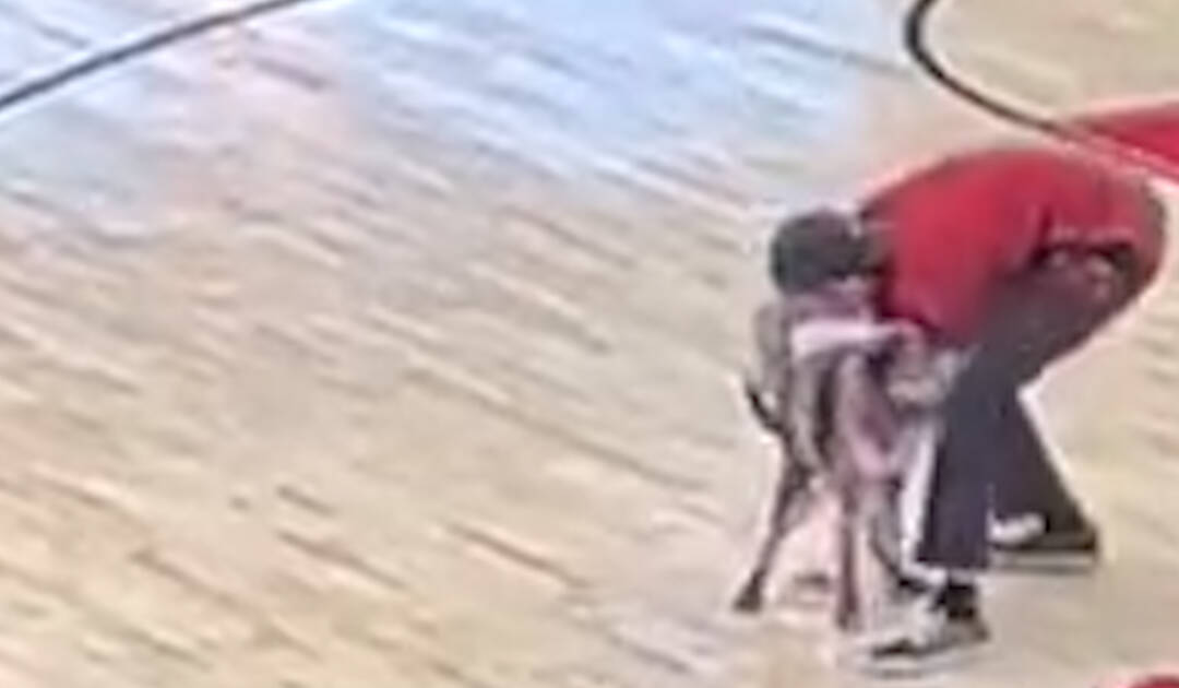 Dog Poops On Basketball Court During Louisville Halftime Show