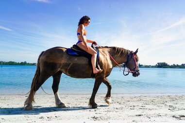 Florida Beach Horses