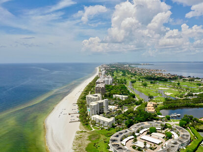 The gulf coast of southwest Florida, during an algae bloom, which can be seen on the shore.