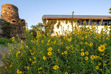 LBJ Wildflower Center