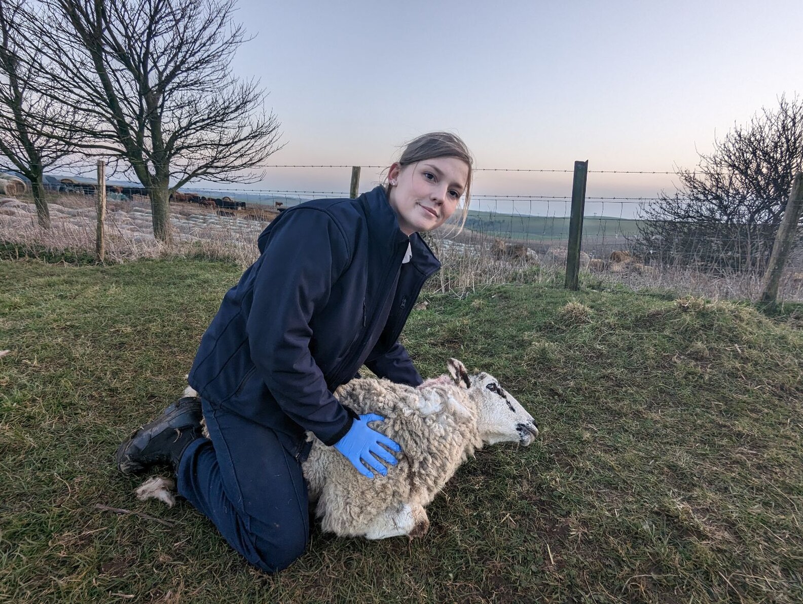 Dog Walker Notices Hole In Ground, Then Does A Double Take - The Dodo