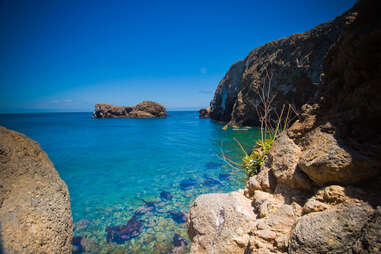 Channel Islands National Park