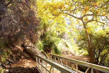 Topanga State Park