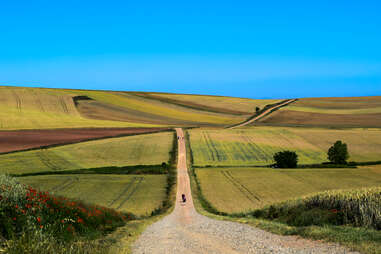 Camino