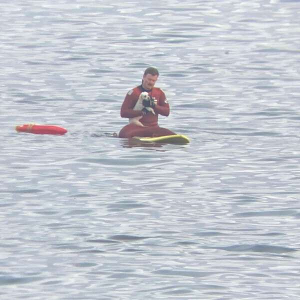 man rescuing dog in ocean