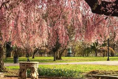 Fairmount Park Conservancy