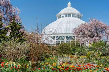 conservatory among flowers in New York Botanical Garden