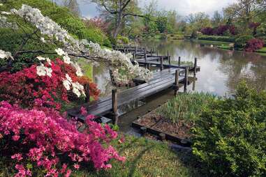 Japanese Garden pond in Missouri Botanical Garden