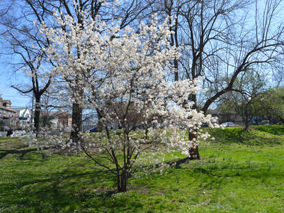 Queens Botanical Garden: A Other in Flushing, NY - Thrillist