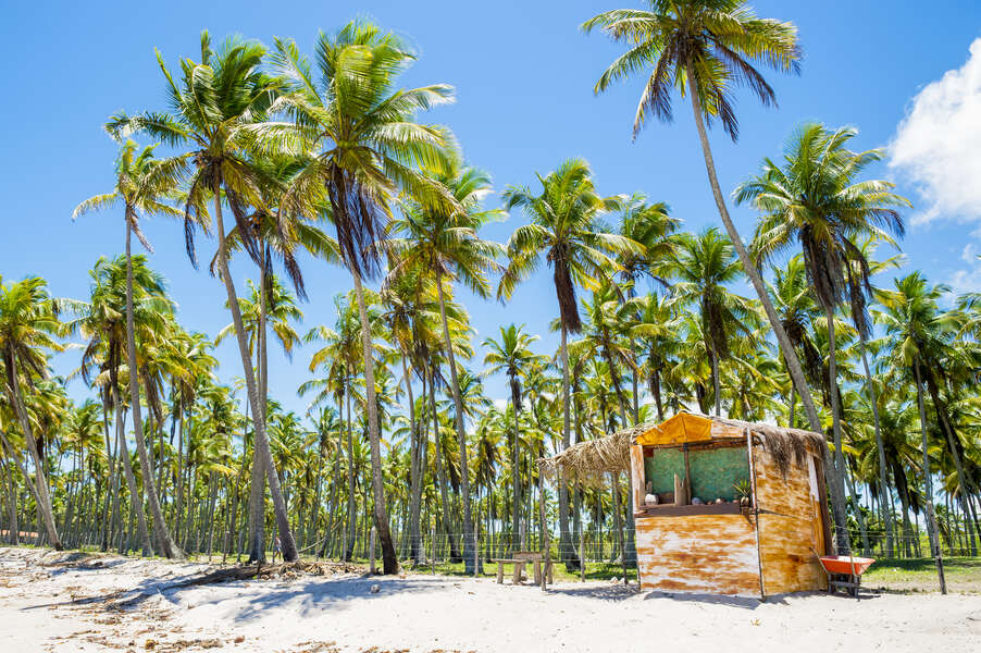 Why Bahia, Brazil Is a Repeat Vacation