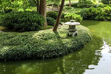 Fort Worth Botanic Garden water among greenery