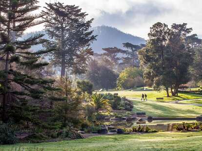 San Francisco Botanical Garden