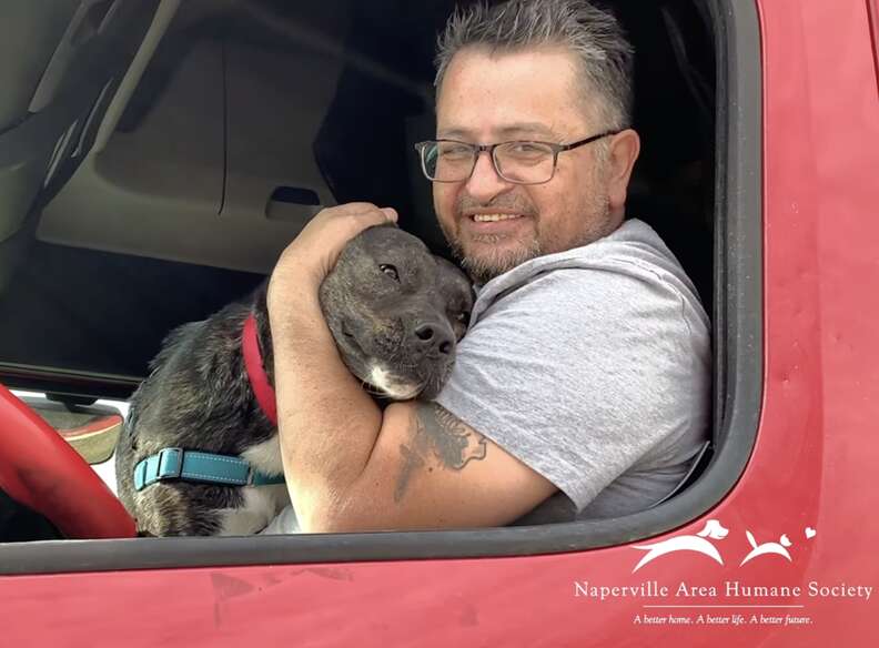 dog and man in truck