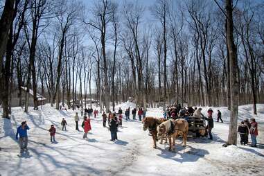 people walking around a snowy farm with a horse-drawn carriage