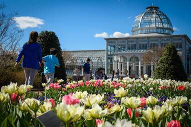 a botanical garden and conservatory