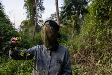 kristen kish wearing protective face netting while foraging ingredients in paraty, brazil